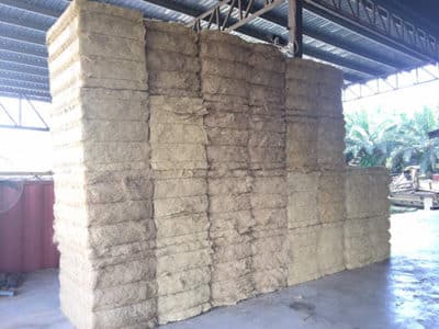 palm-fibre |MacBaler